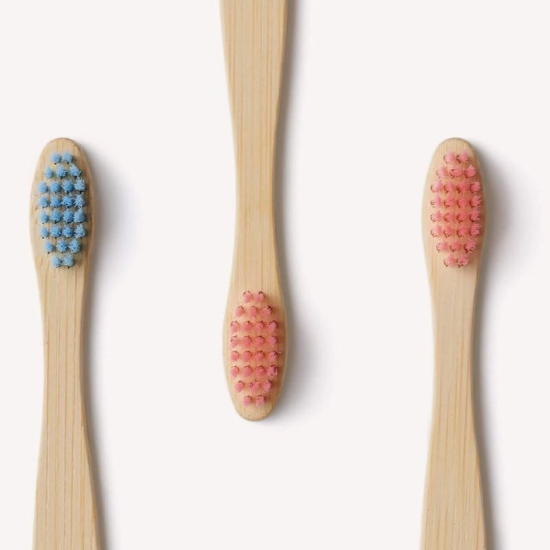 How Often Should I Change My Bamboo Toothbrush and Signs It Needs Replacing