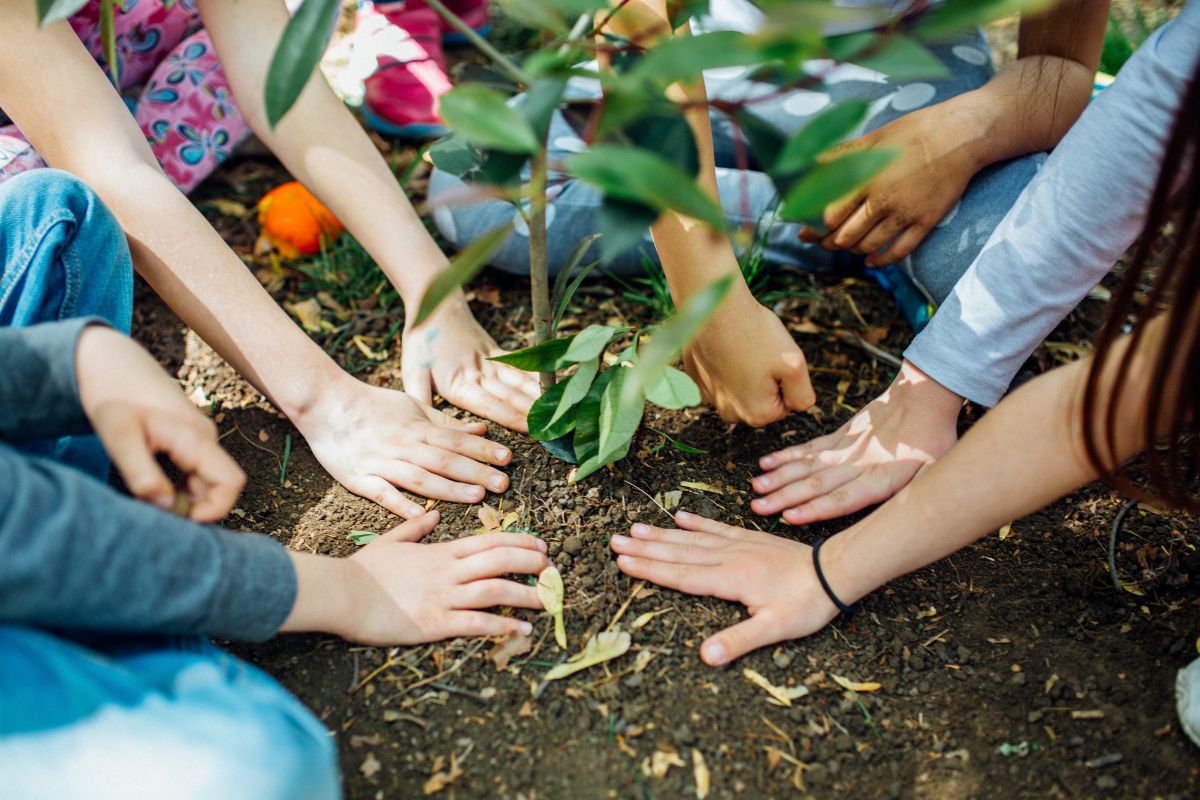 earth day hands on soil