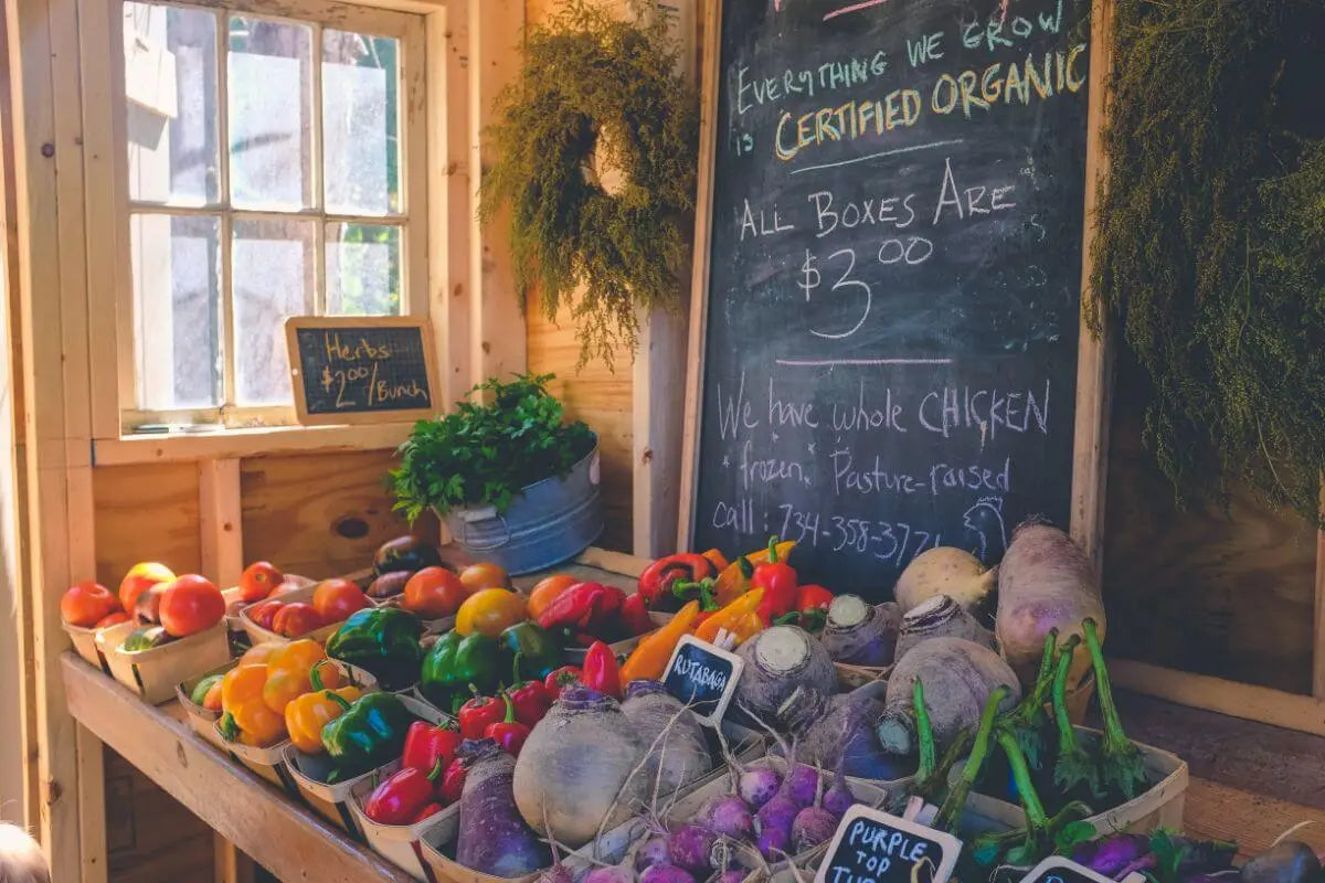 Guide To Organic Food, Why It’s Important & How To Shop On A Budget