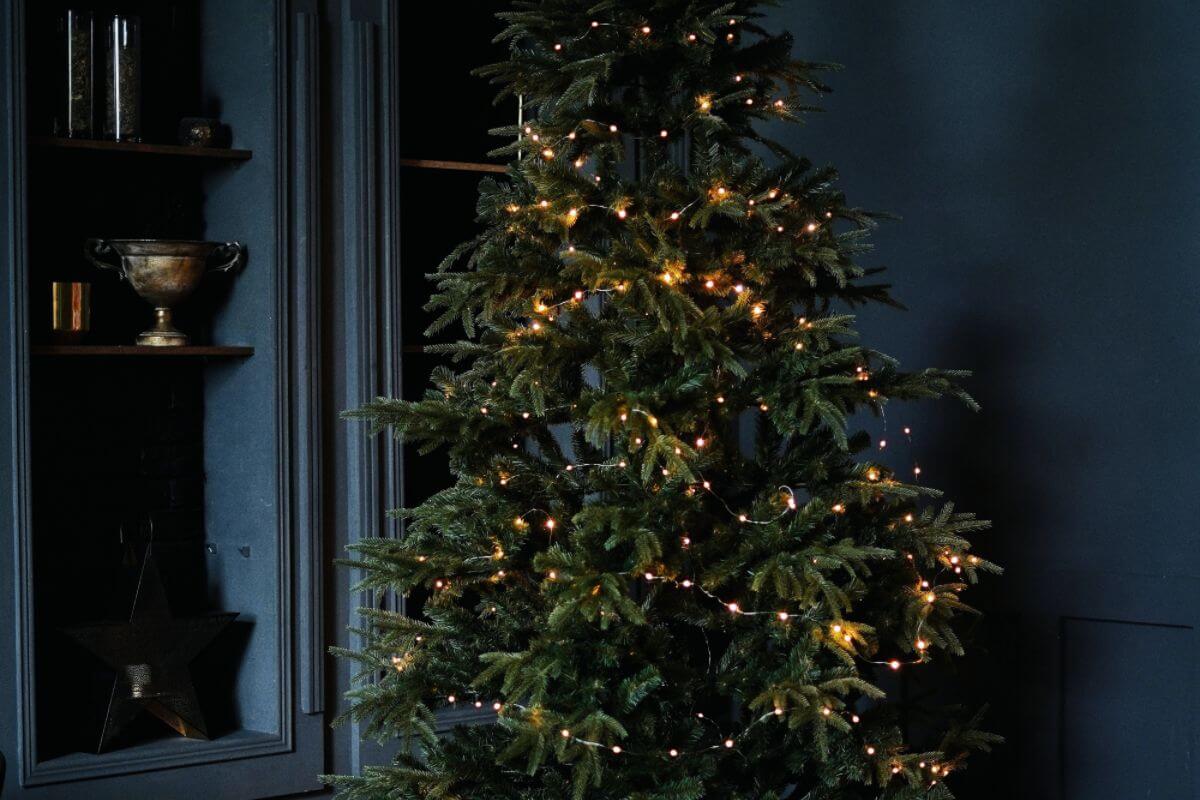 Wild & Stone Plastic Free Christmas Blog
