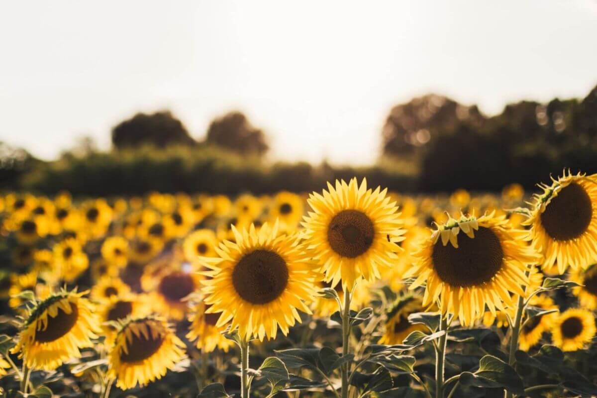 Wild & Stone Eco Friendly Summer Blog