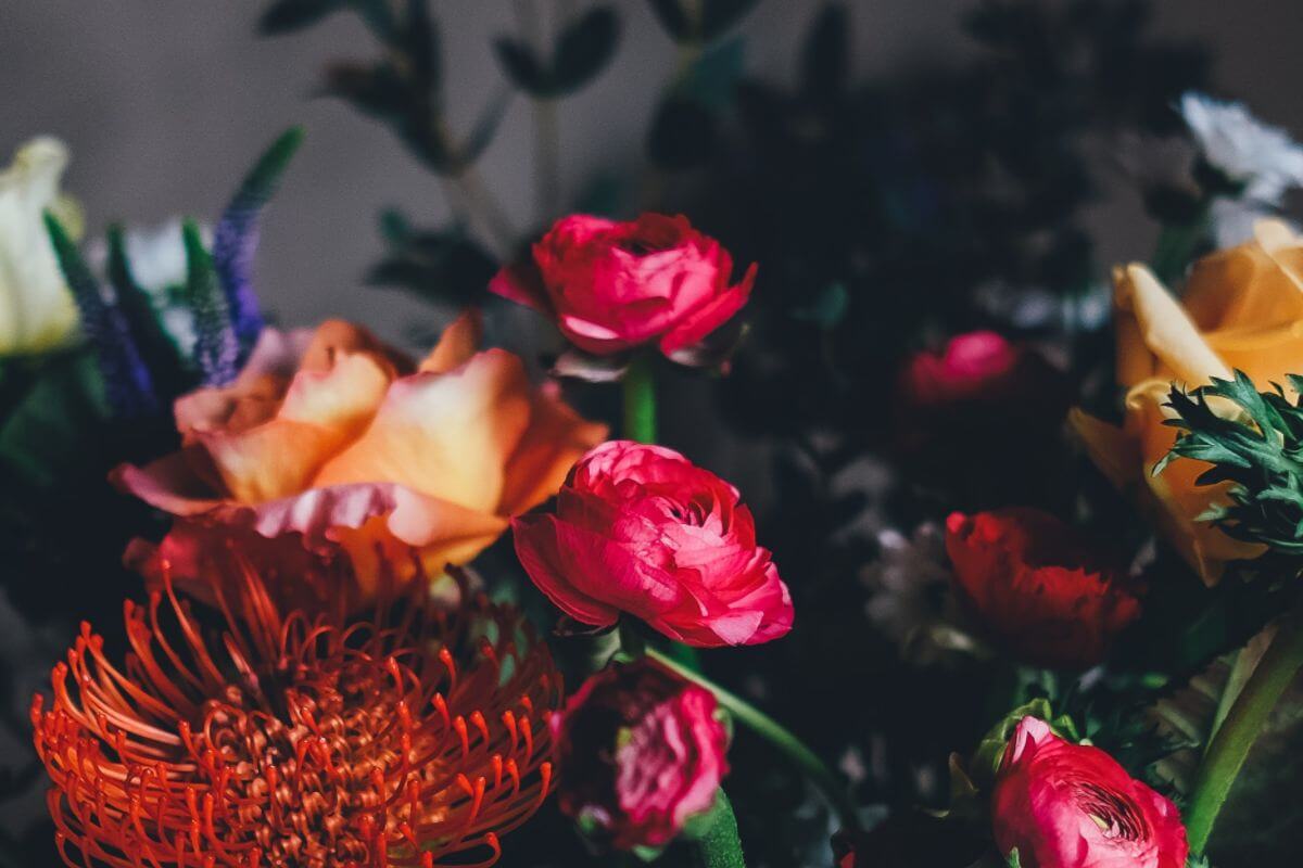 Eco-Friendly Valentine Gift Ideas For Her