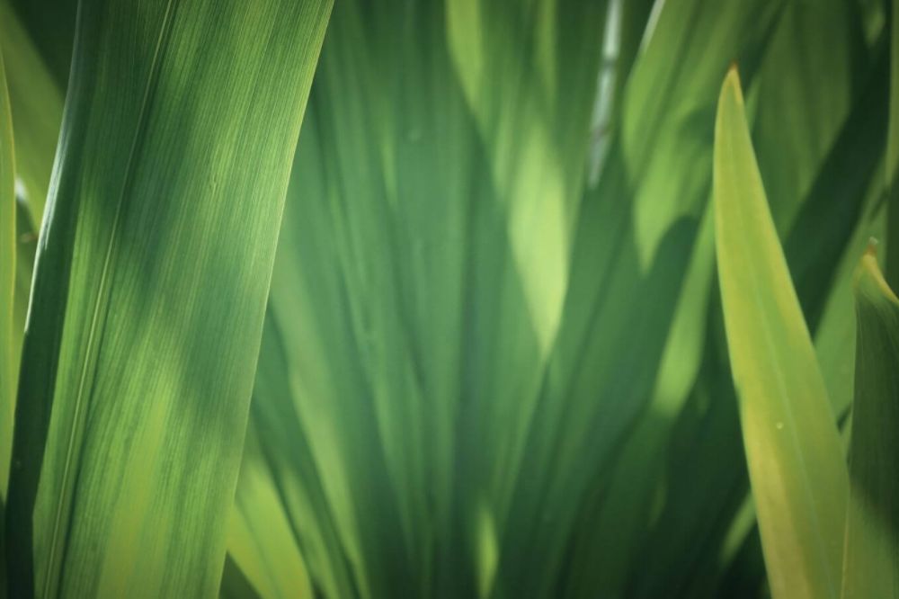 How To Avoid Greenwashing As A Conscious Consumer