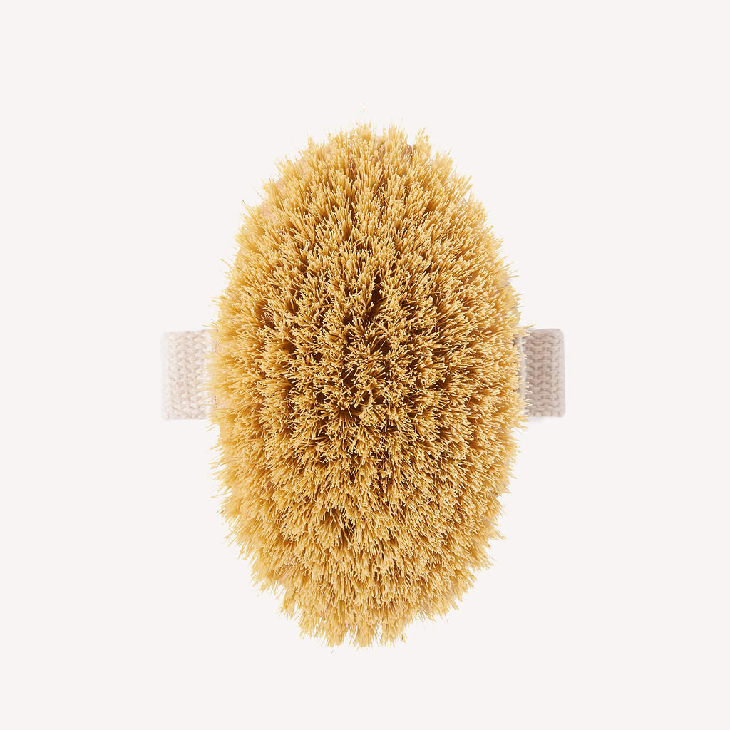 Natural yellow sisal fibre bristles in an oval-shaped body brush.