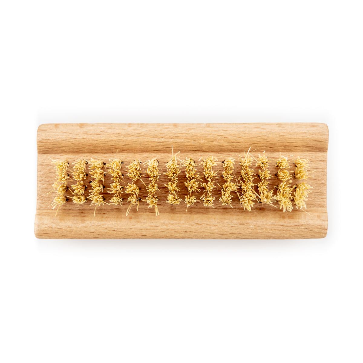 Biodegradable Natural Bristle Nail Brush